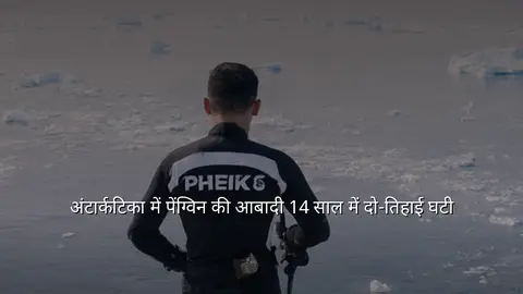 अंटार्कटिका में पेंग्विन की आबादी 14 साल में दो‑तिहाई घटी