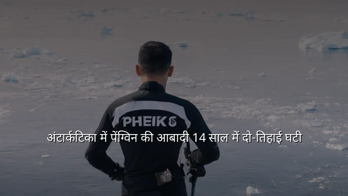 अंटार्कटिका में पेंग्विन की आबादी 14 साल में दो‑तिहाई घटी